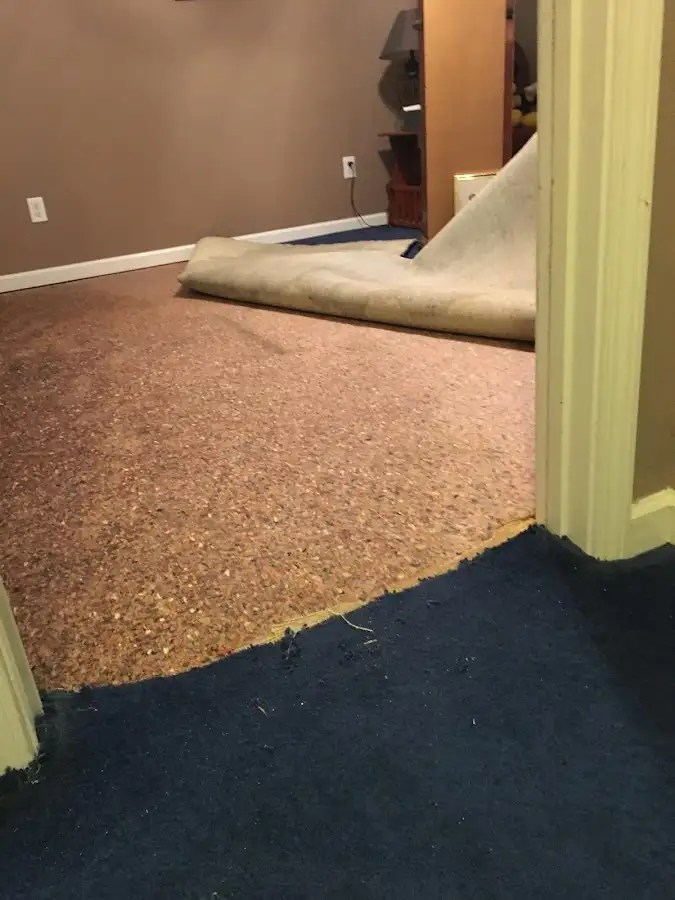 Carpet pad removal revealing water damage during Drying & Dehumidification in Citrus Springs