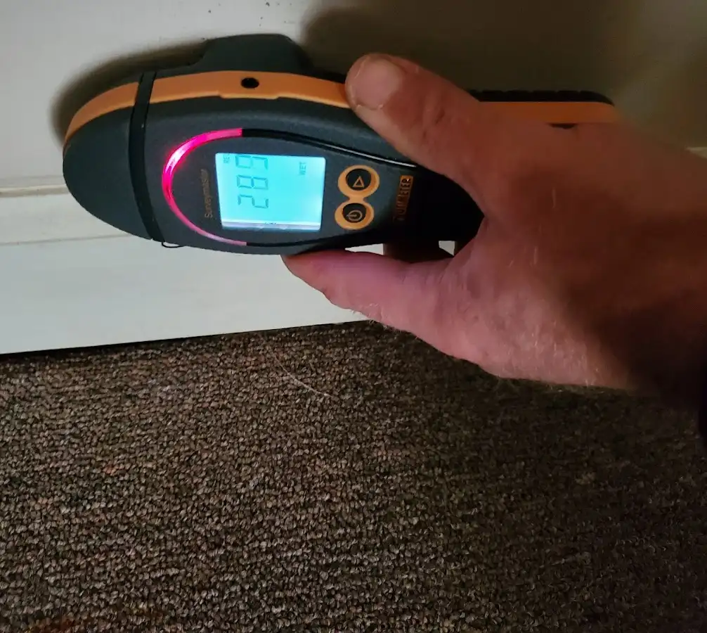 Moisture detection at baseboard during Sewage Cleanup & Sanitation in Citrus Springs