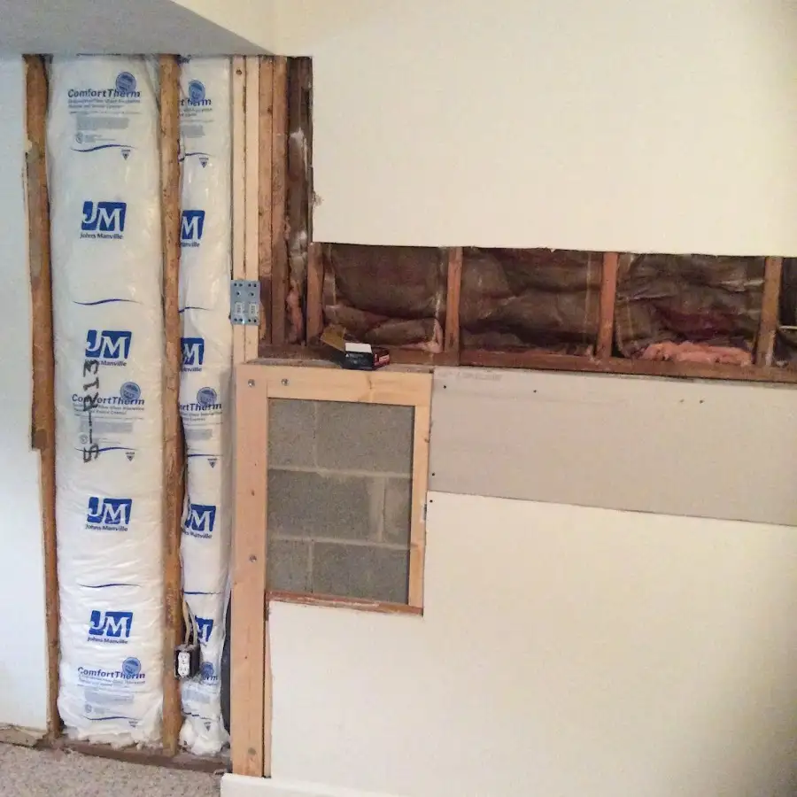 Wall insulation replacement during Odor Removal & Deodorization in Citrus Springs